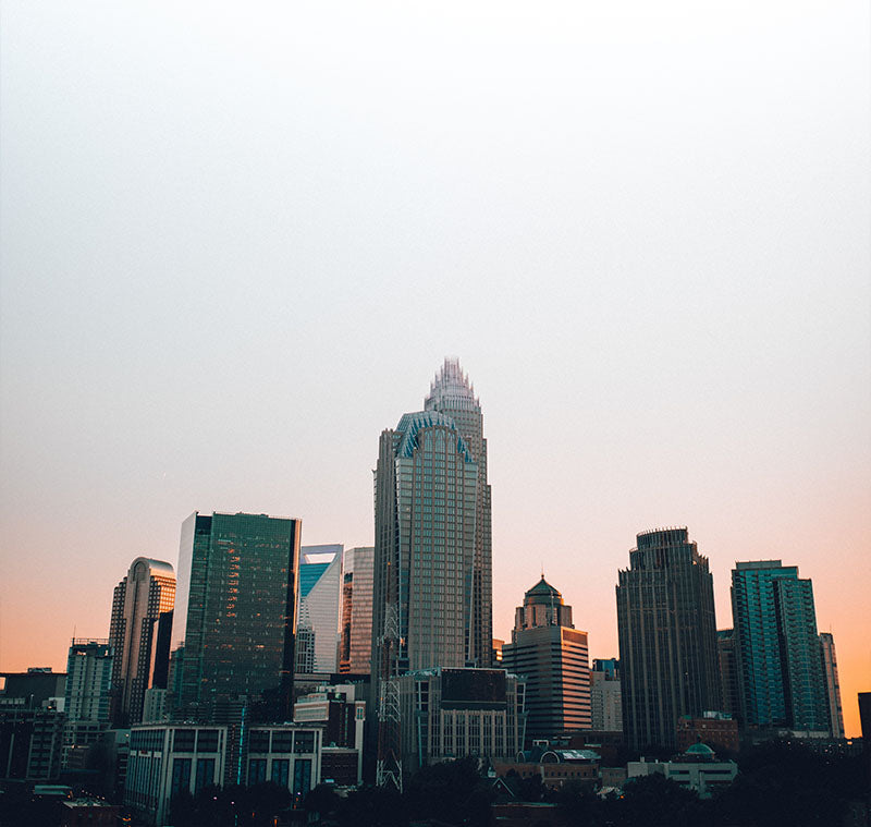 Charlotte City Guide-The Sculpt Society