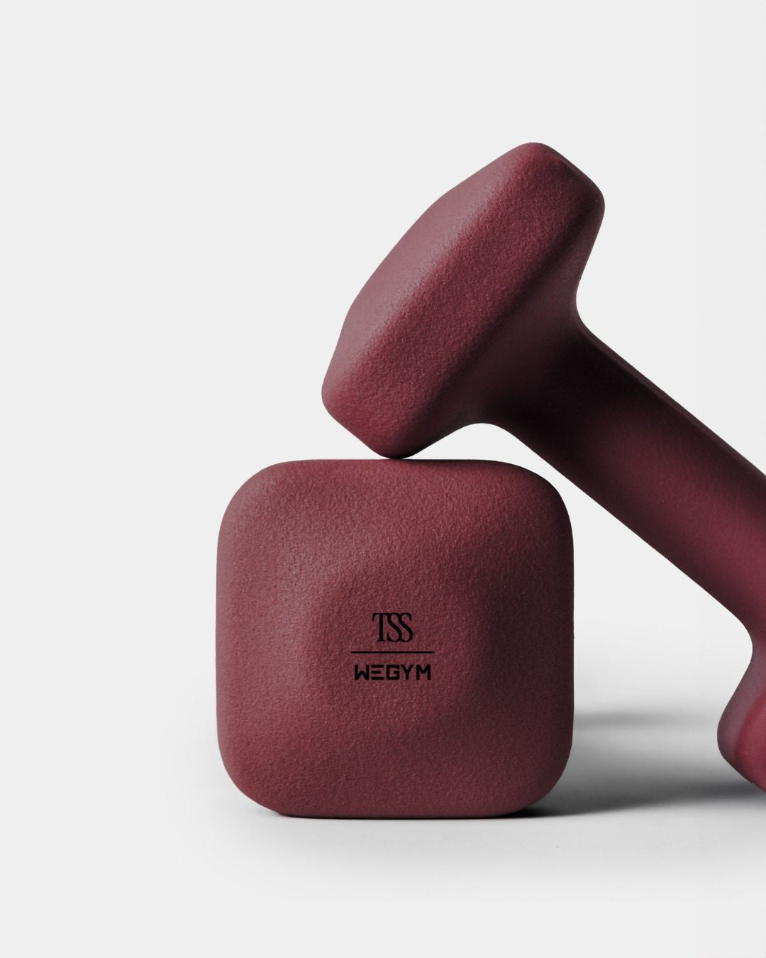 TSS x WeGym Dumbbell Set