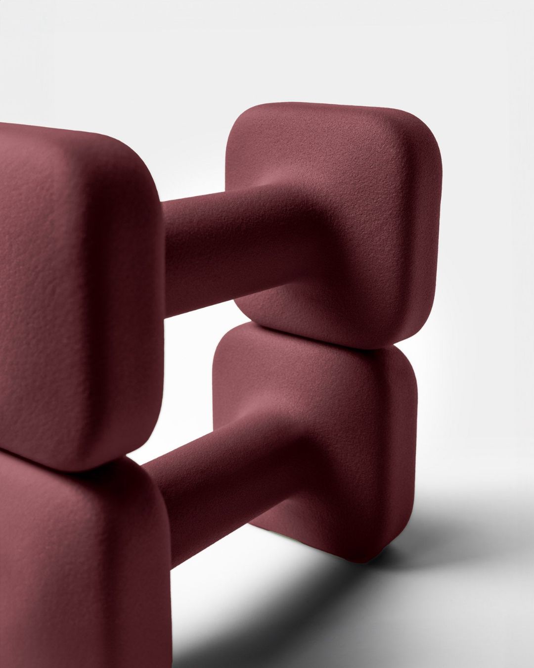 TSS x WeGym Dumbbell Set