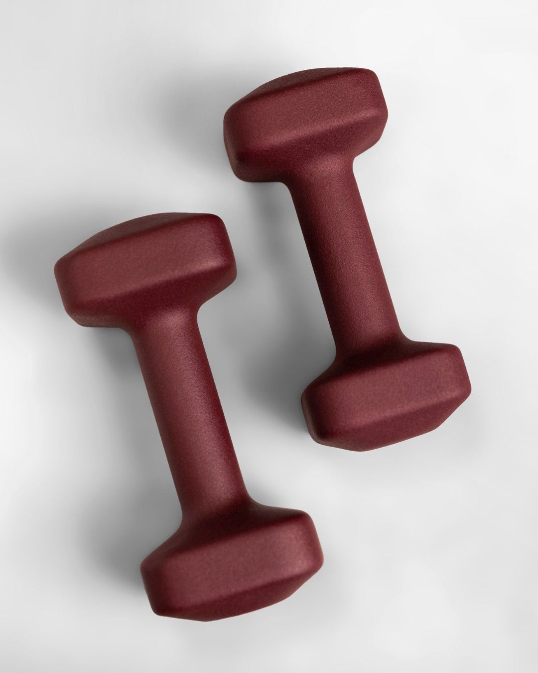 TSS x WeGym Dumbbell Set